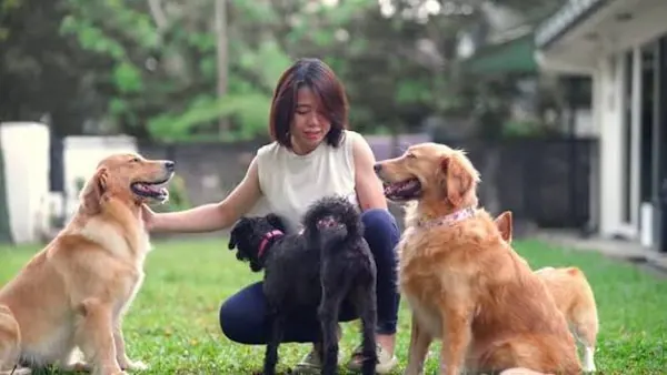 Loving host socializing with happy dogs in home garden yard